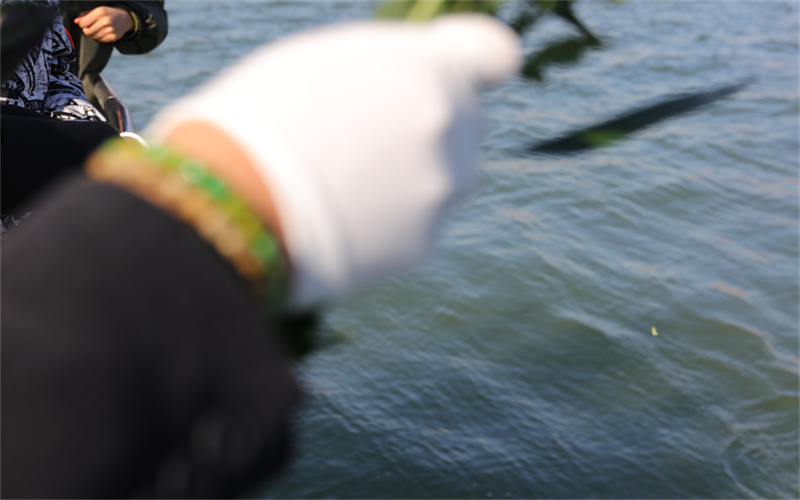 普陀山海葬案例为科研机构举办的纪念展与海葬记录