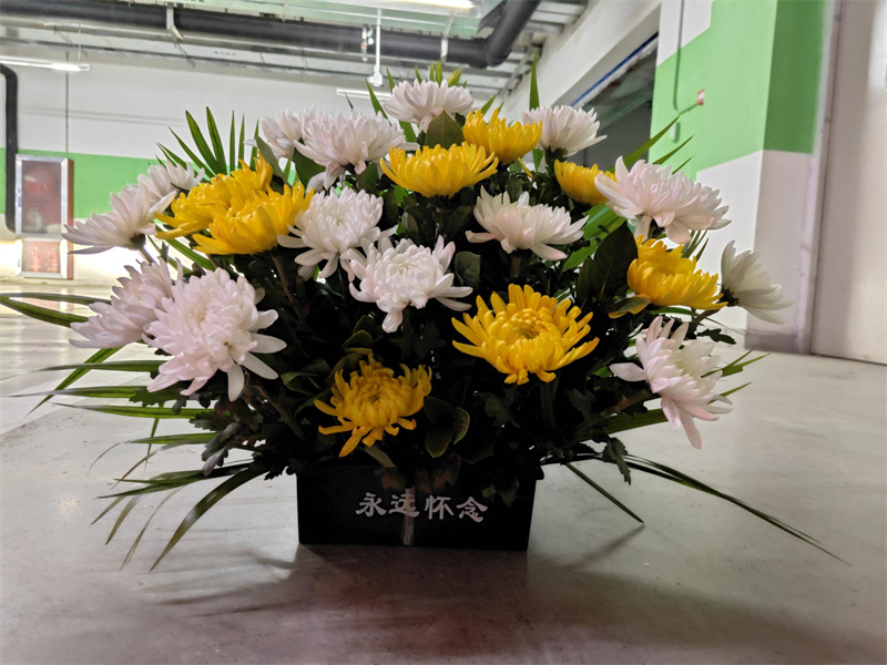 浙江省海葬去哪里申请-2