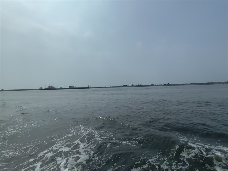 浙江省海葬要预约吗现在-2