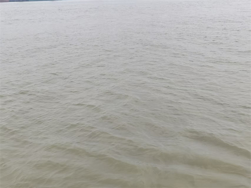 浙江省海葬最新政策-1