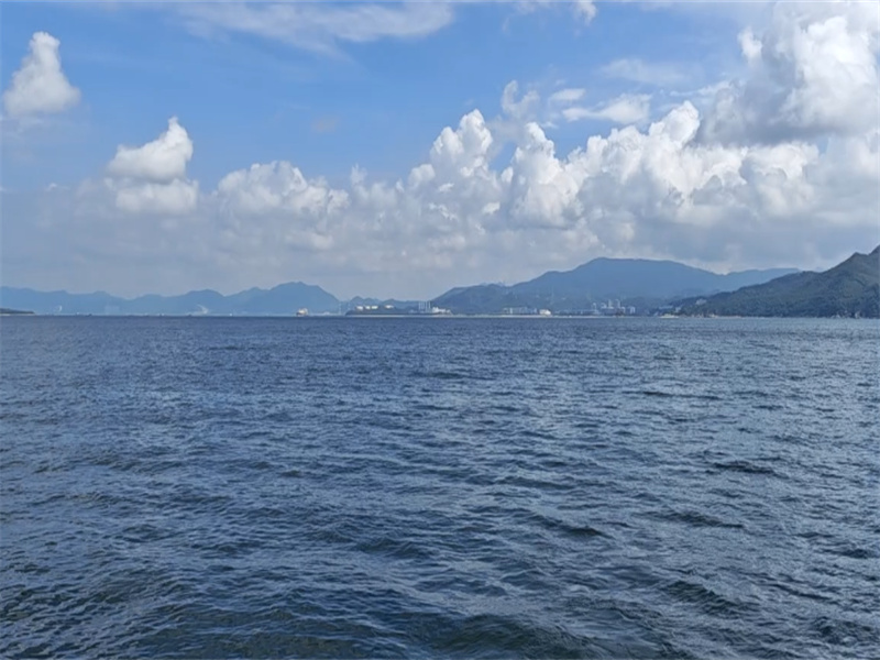 普陀山海葬去哪里办手续