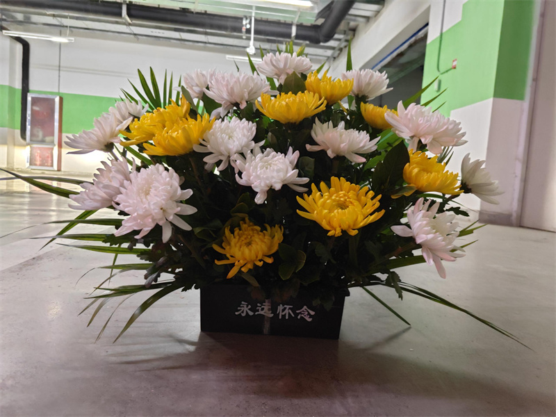 浙江省海葬有补贴吗多少钱-3