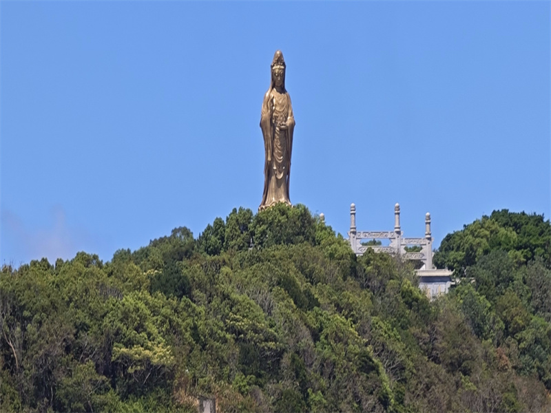 舟山市海葬办理流程-3