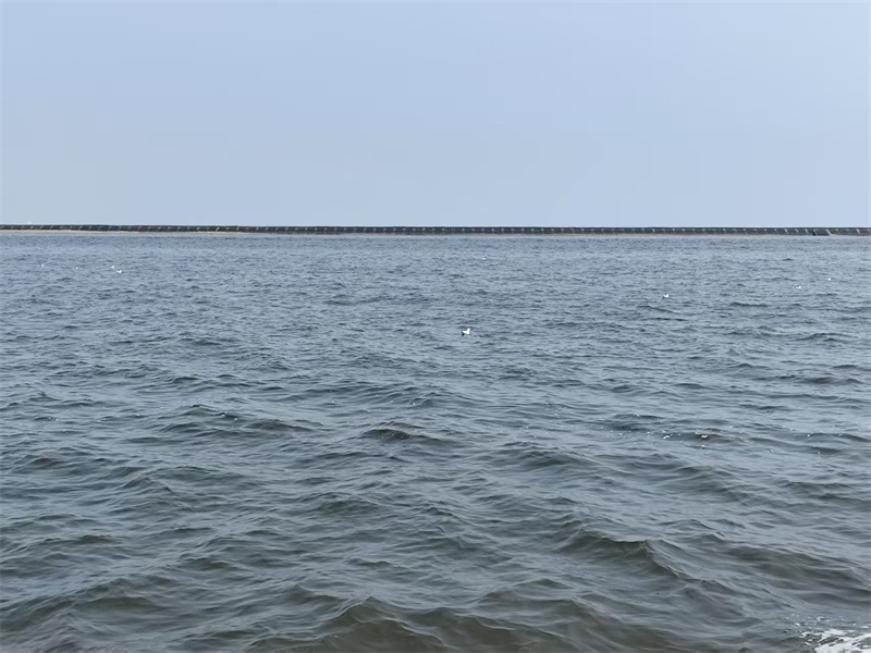 浙江省海葬的流程是怎样的