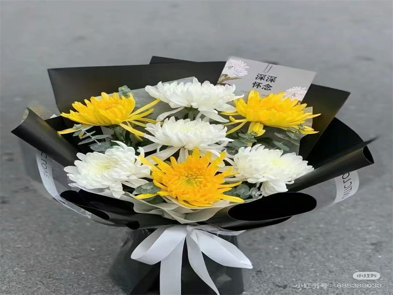 2025年普陀山海葬预约