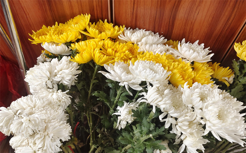 普陀山海葬案例航海日志在海葬纪念中的纪念价值-2