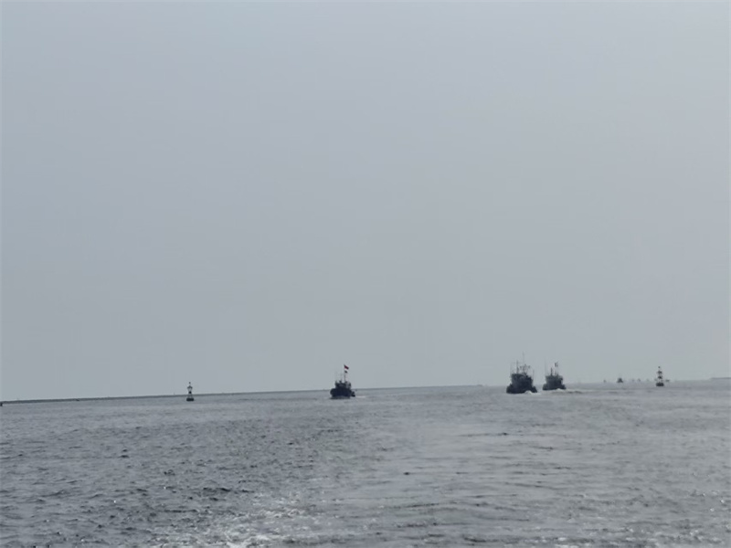 浙江省海葬去哪儿办理撒海文化-2