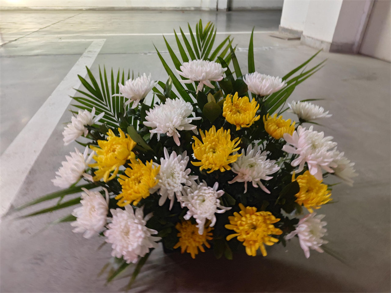 普陀山海葬服务价格-1