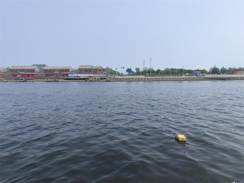 浙江省海葬手续办理指南 从申请到完成的全流程解析