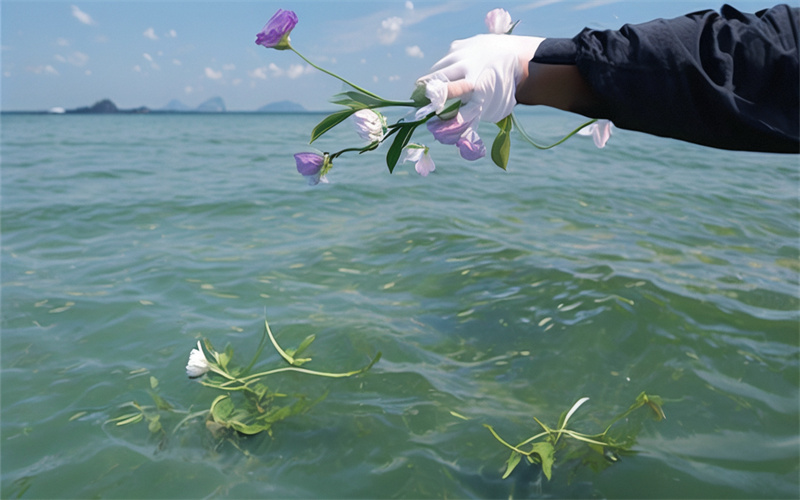 普陀山海葬案例医疗志愿者的海葬陪护记录