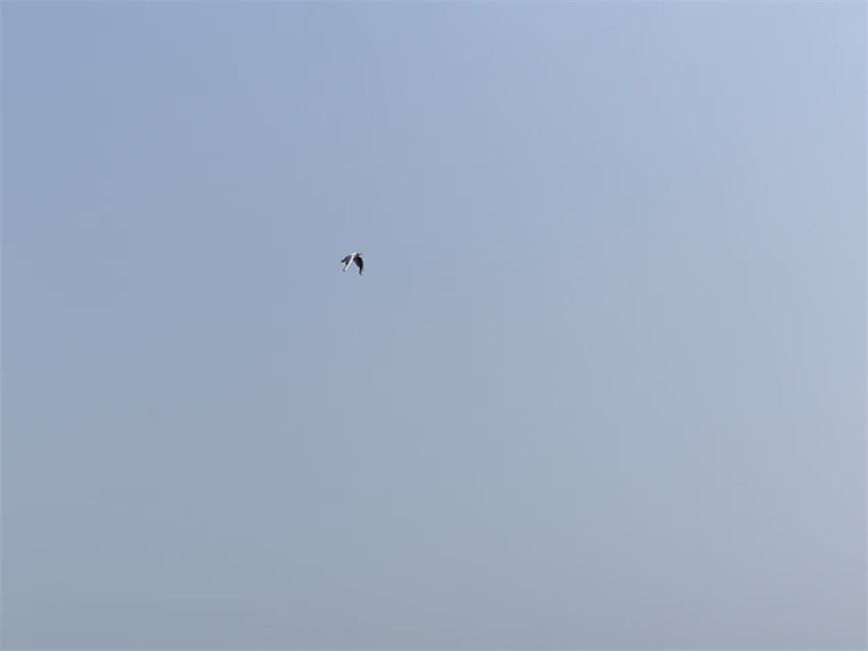 舟山市海葬墓地价格表-1