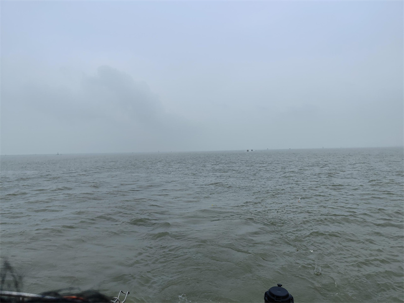 浙江省海葬需要什么手续