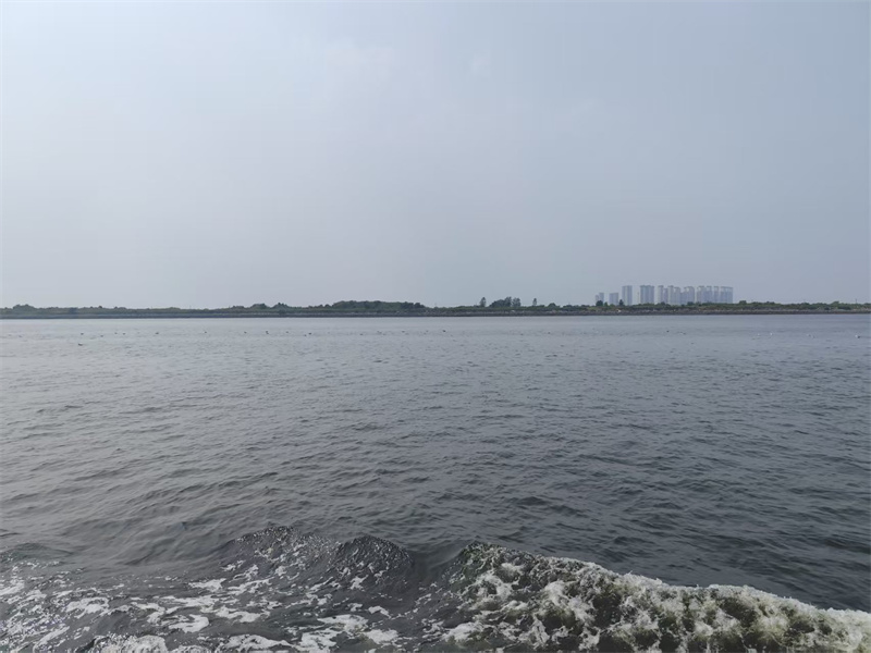 舟山市海葬2025年补贴-2