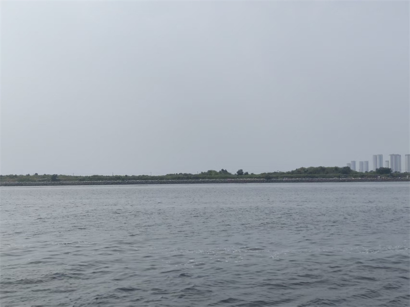 舟山市海葬去哪儿办理-2