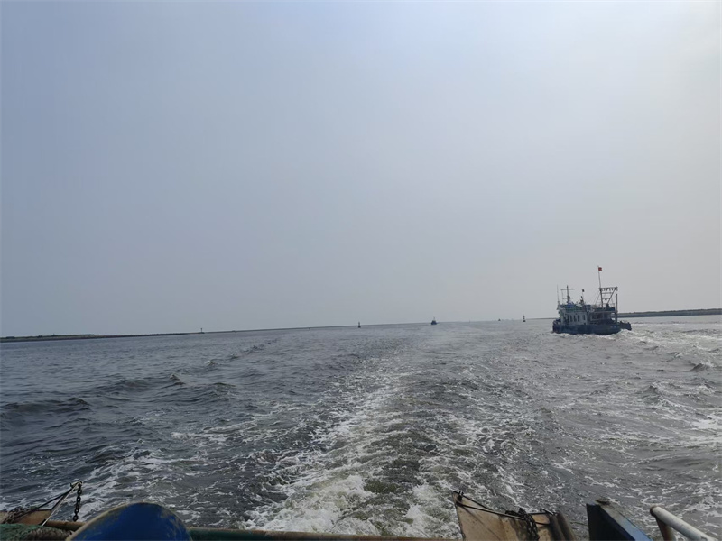 普陀山海葬办理流程公益-2