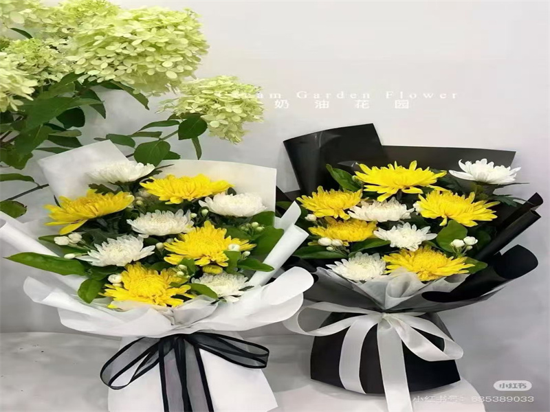 浙江省海葬去哪儿办理证件-1