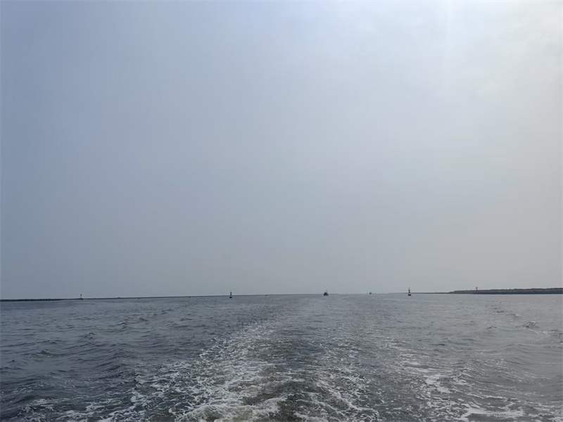 浙江省海葬需要办什么手续-2