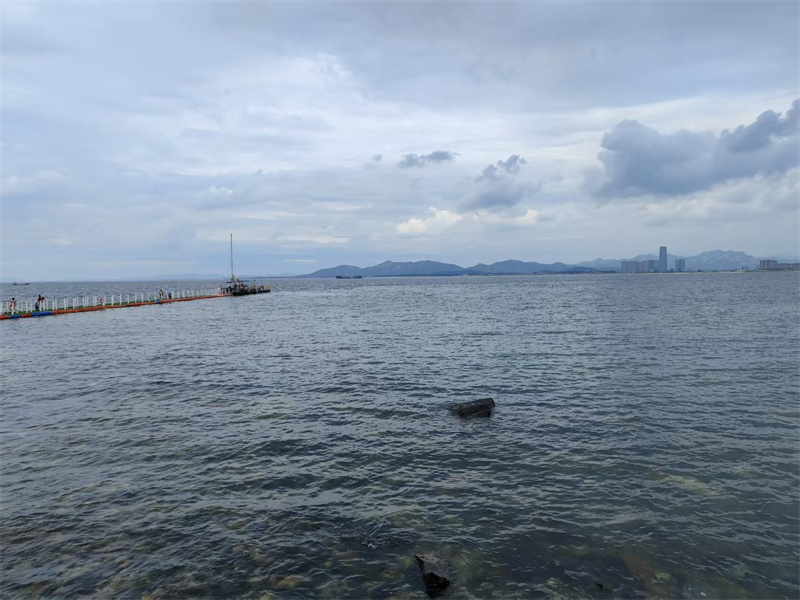 舟山市海葬申请电话-4