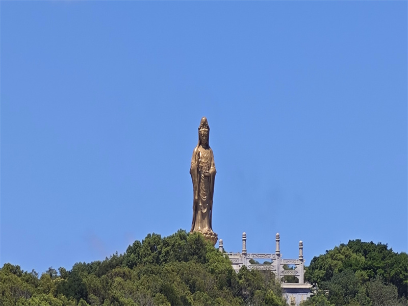 浙江省海葬去哪里办理手续
