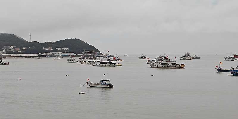 IMG_20241115_163121