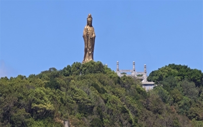 普陀山海葬申请流程时间