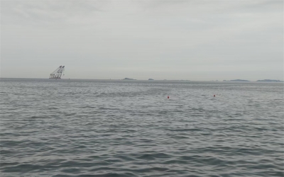 衢州海撒申请流程
