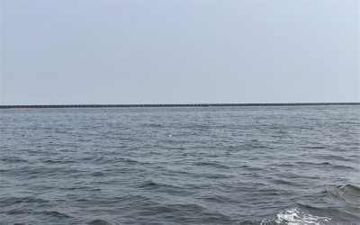 丽水海葬费用
