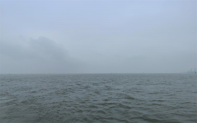 温州海撒申请流程
